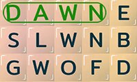 Word Search Puzzles