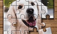 Jigsaw Puzzle